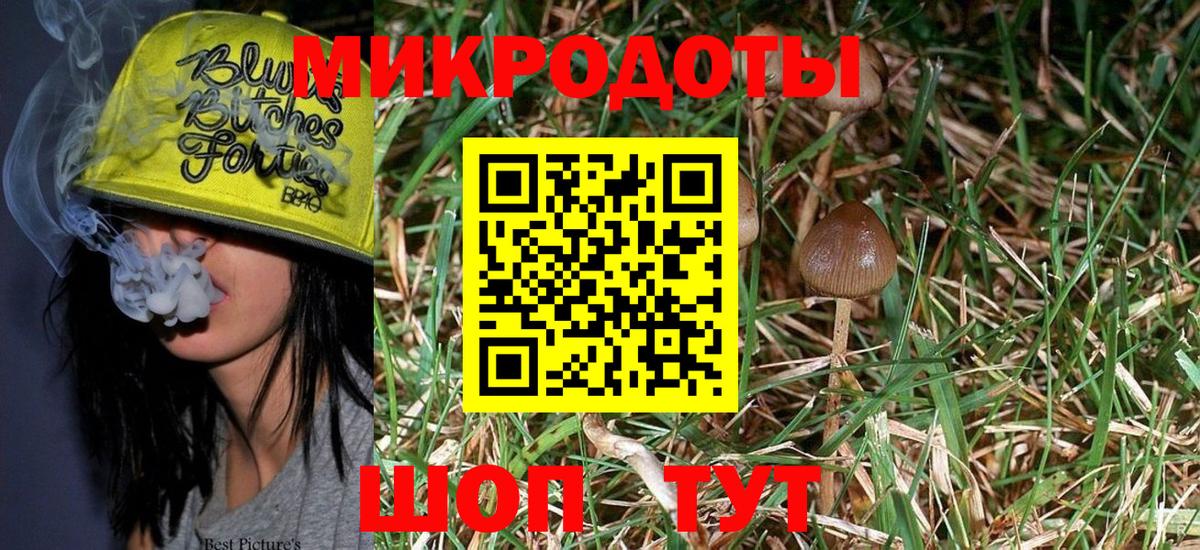 Галлюциногенные грибы Magic Shrooms Ейск